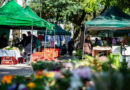 Alimentos frescos, produtos coloniais e artesanatos: confira o cronograma das feiras do produtor em Santa Maria