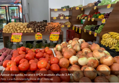 Apesar da queda, no ano o IPCA acumula alta de 3,44% Foto: Licia Rubinstein/Agência IBGE Notícias