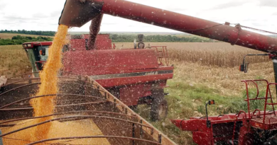 A agropecuária foi o setor que mais cresceu no segundo trimestre deste ano Foto: Agência Brasil