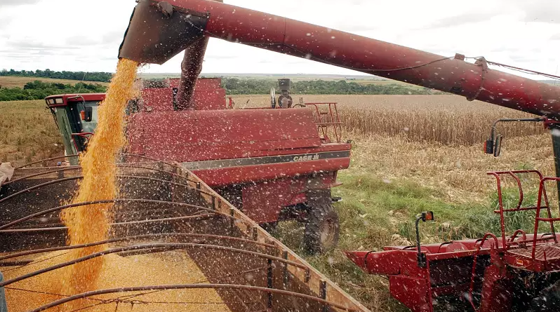 A agropecuária foi o setor que mais cresceu no segundo trimestre deste ano Foto: Agência Brasil